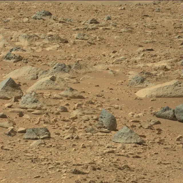 Sol 51: Mast Camera (Mastcam)
