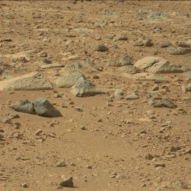 Sol 51: Mast Camera (Mastcam)