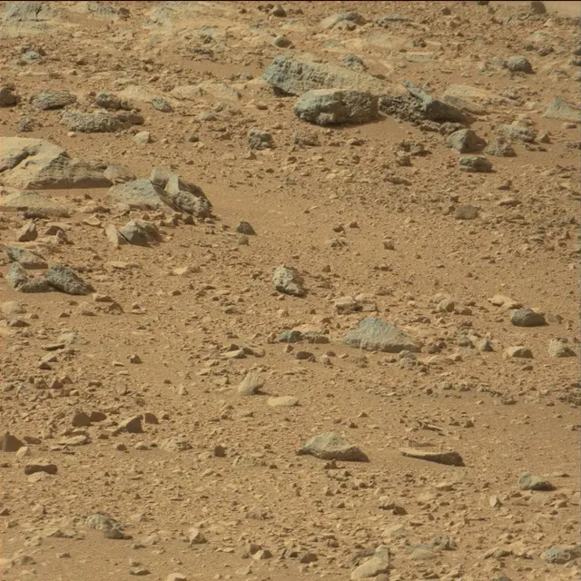 Sol 51: Mast Camera (Mastcam)