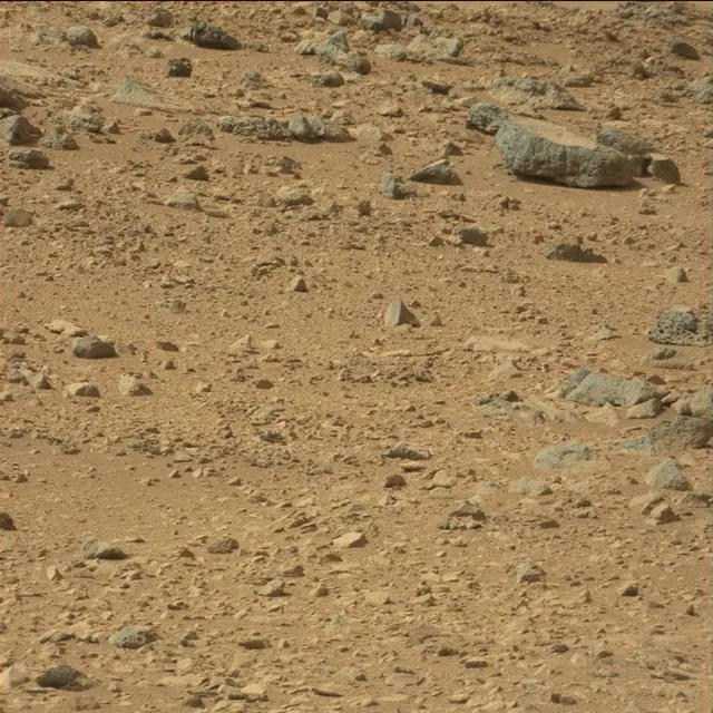 Sol 51: Mast Camera (Mastcam)