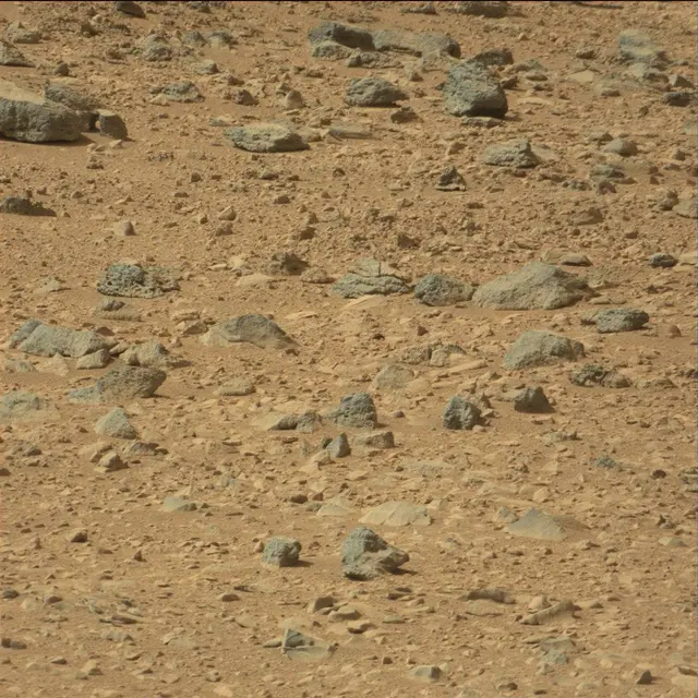 Sol 51: Mast Camera (Mastcam)