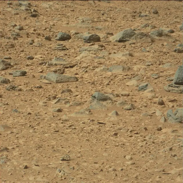 Sol 51: Mast Camera (Mastcam)