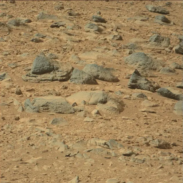Sol 51: Mast Camera (Mastcam)