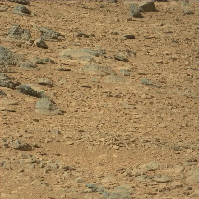 Sol 51: Mast Camera (Mastcam)