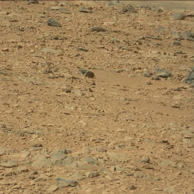 Sol 51: Mast Camera (Mastcam)