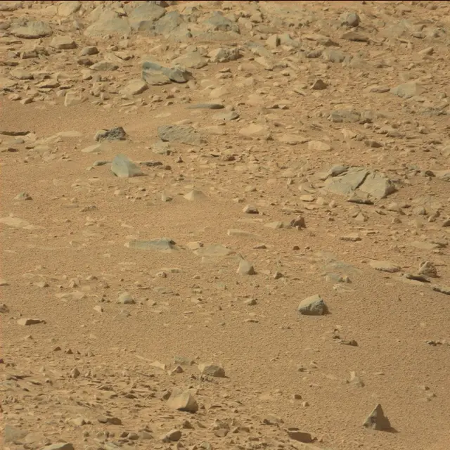 Sol 51: Mast Camera (Mastcam)