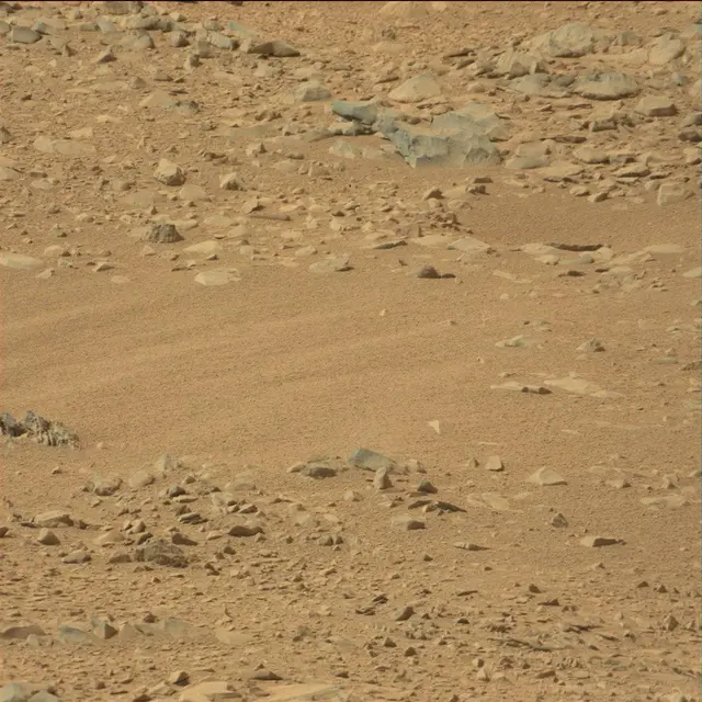 Sol 51: Mast Camera (Mastcam)