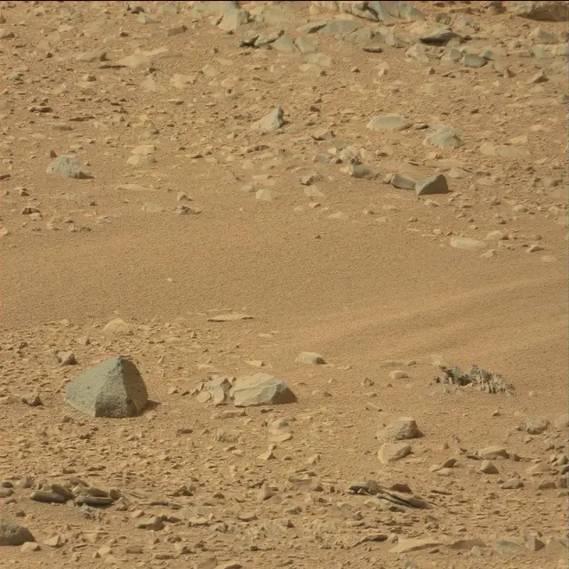 Sol 51: Mast Camera (Mastcam)