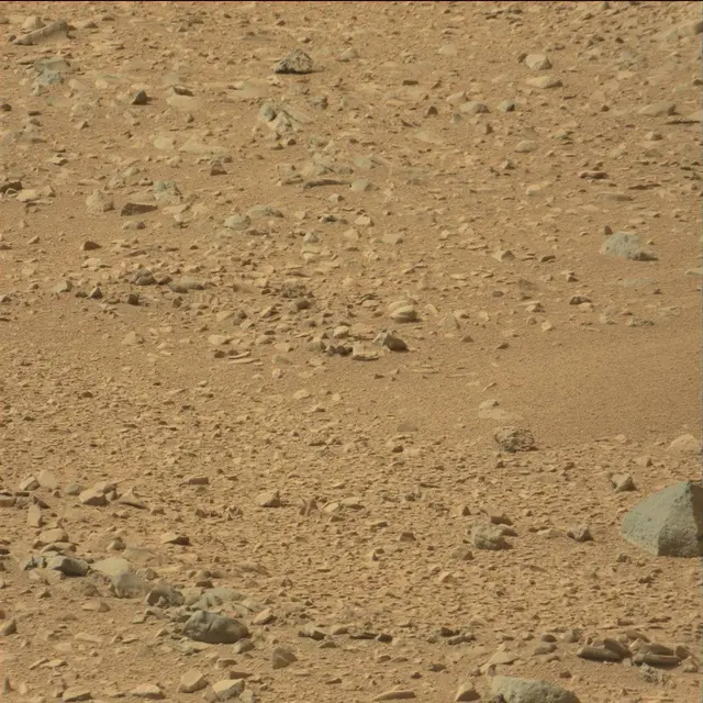 Sol 51: Mast Camera (Mastcam)