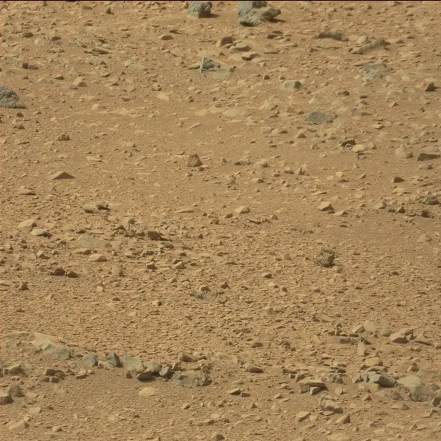 Sol 51: Mast Camera (Mastcam)