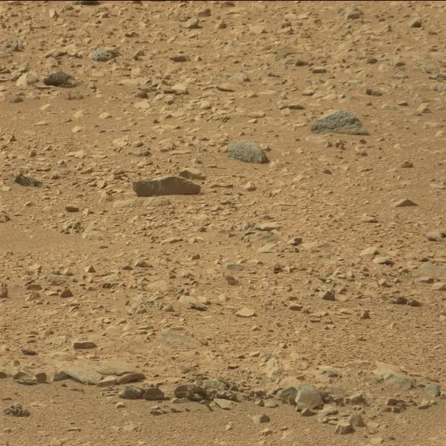 Sol 51: Mast Camera (Mastcam)