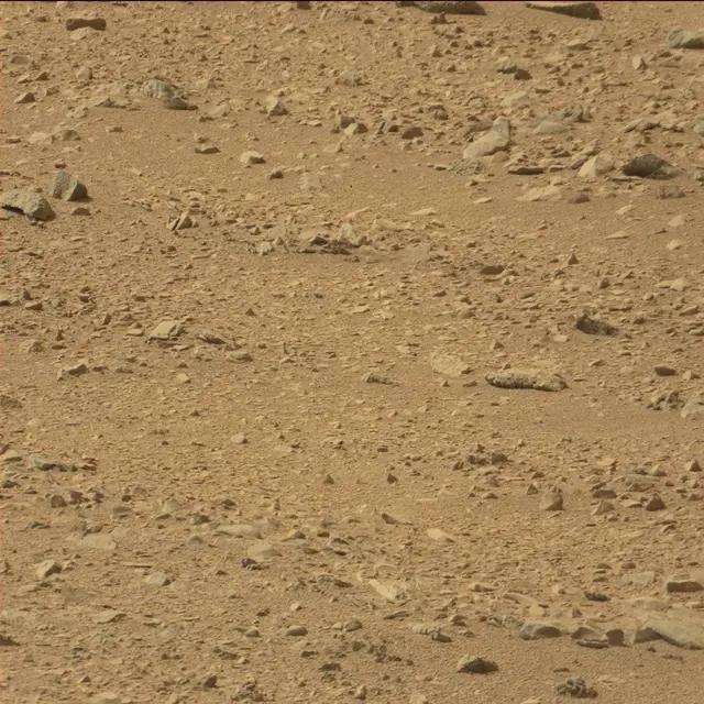 Sol 51: Mast Camera (Mastcam)