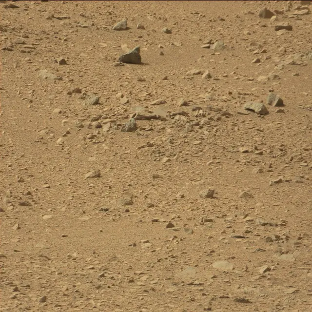 Sol 51: Mast Camera (Mastcam)