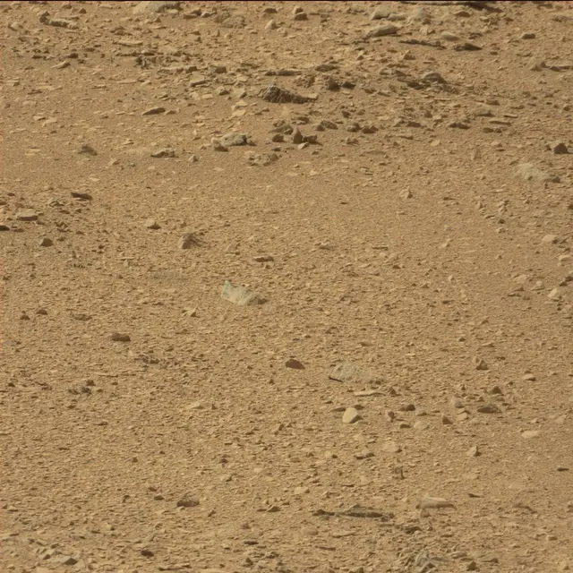 Sol 51: Mast Camera (Mastcam)