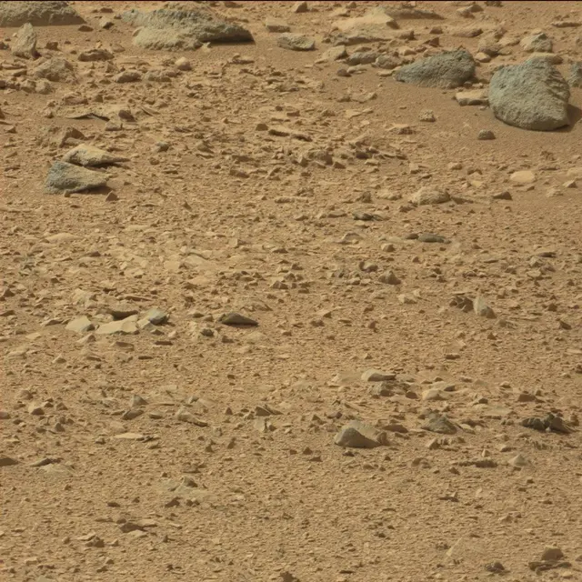 Sol 51: Mast Camera (Mastcam)