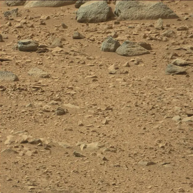 Sol 51: Mast Camera (Mastcam)