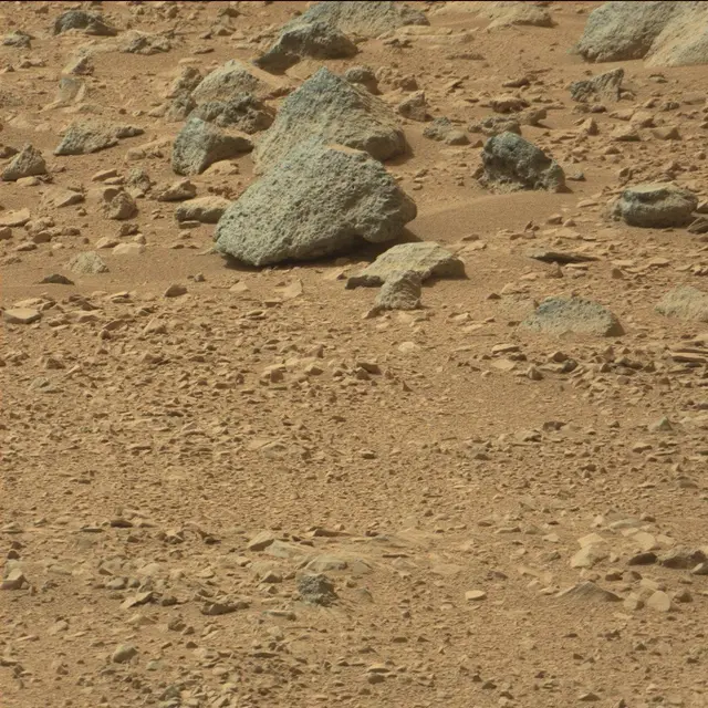 Sol 51: Mast Camera (Mastcam)