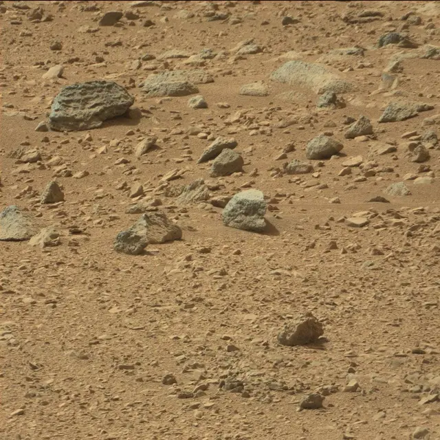 Sol 51: Mast Camera (Mastcam)