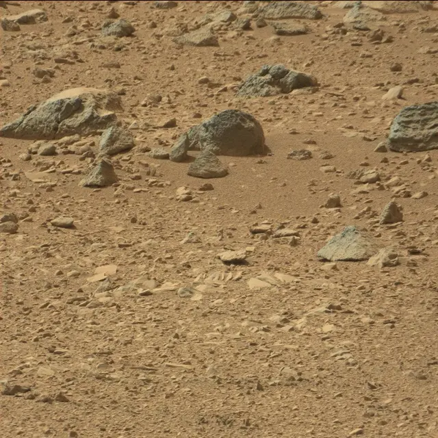 Sol 51: Mast Camera (Mastcam)