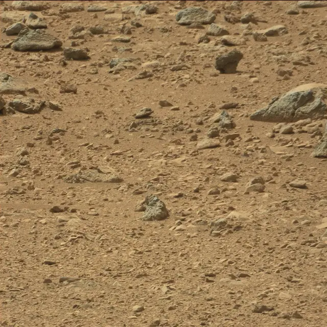Sol 51: Mast Camera (Mastcam)
