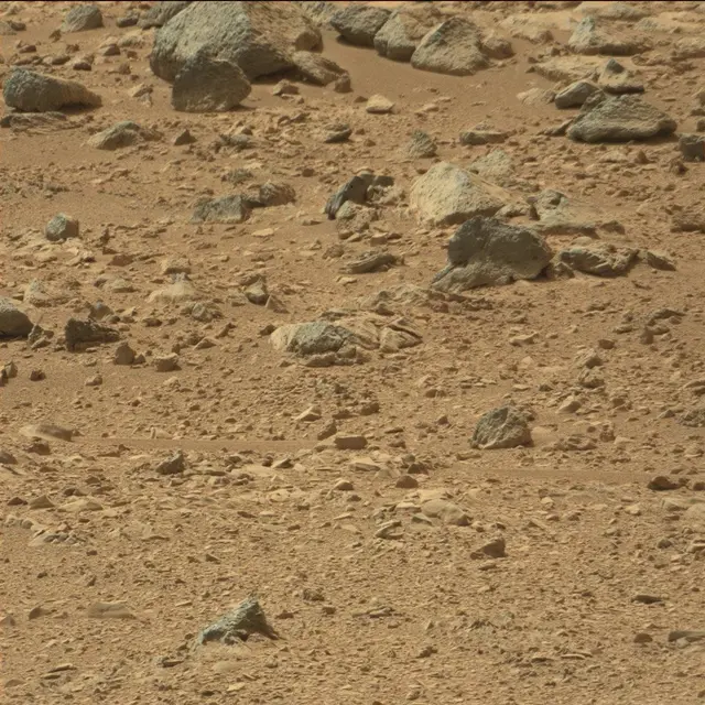 Sol 51: Mast Camera (Mastcam)