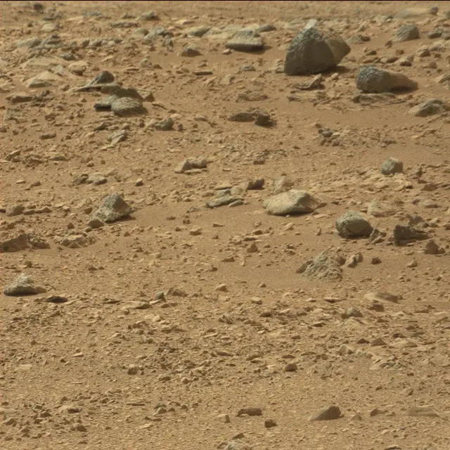 Sol 51: Mast Camera (Mastcam)