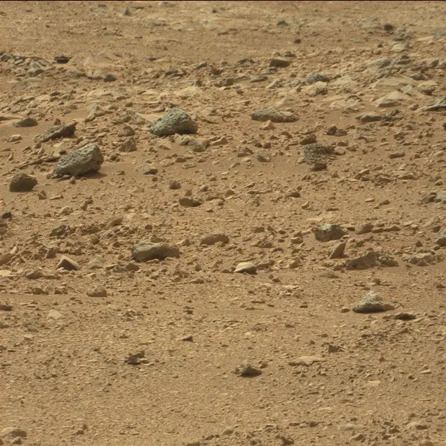 Sol 51: Mast Camera (Mastcam)