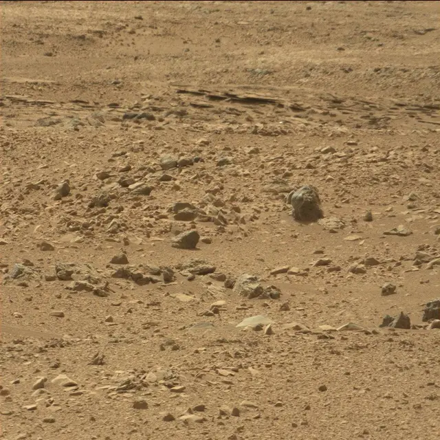 Sol 51: Mast Camera (Mastcam)