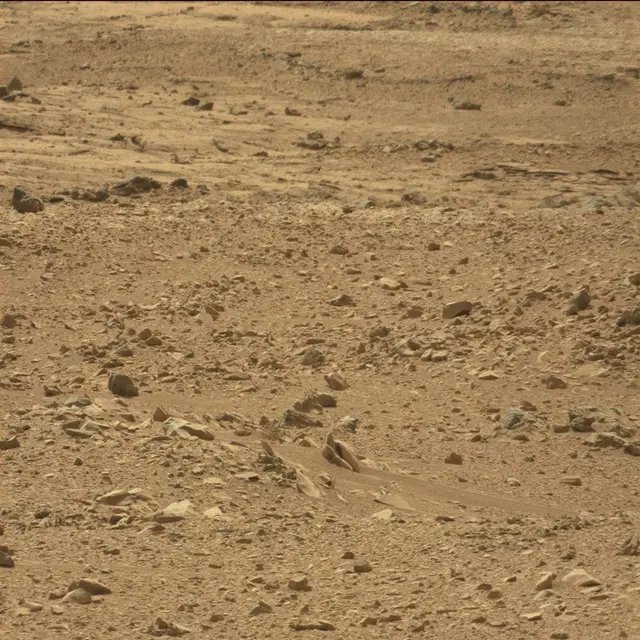 Sol 51: Mast Camera (Mastcam)