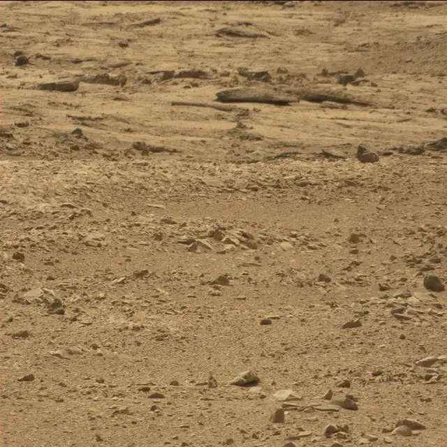 Sol 51: Mast Camera (Mastcam)