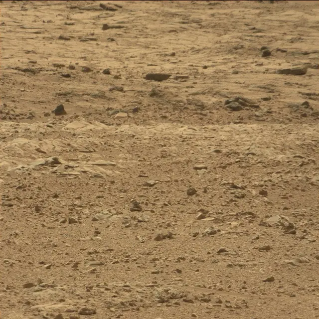 Sol 51: Mast Camera (Mastcam)