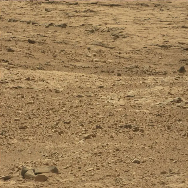 Sol 51: Mast Camera (Mastcam)