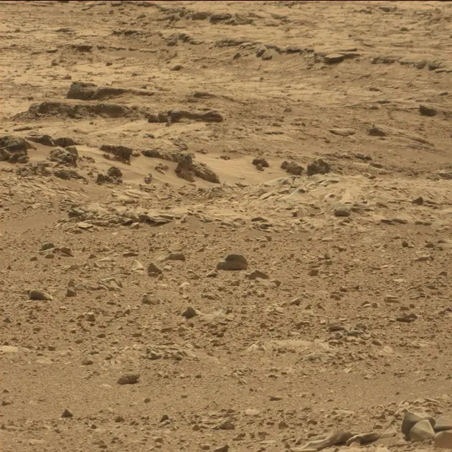 Sol 51: Mast Camera (Mastcam)