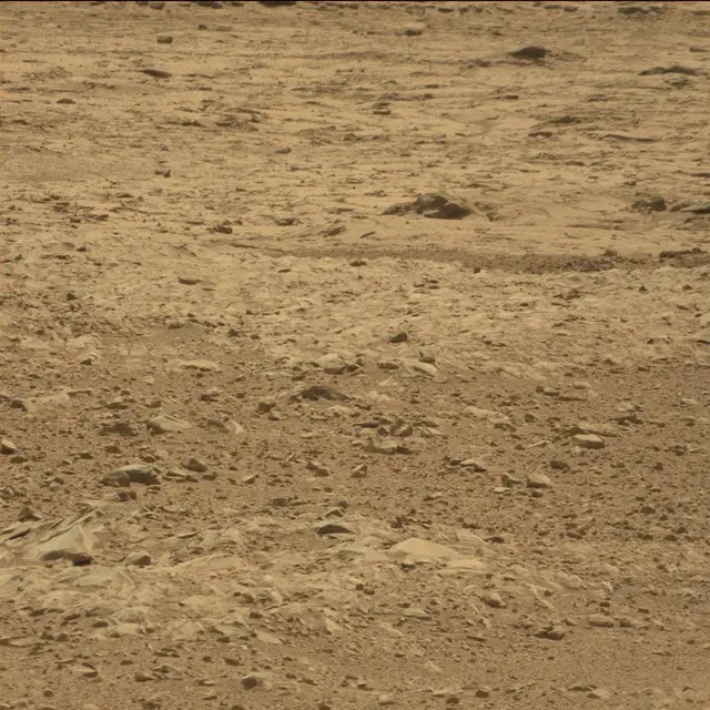 Sol 51: Mast Camera (Mastcam)