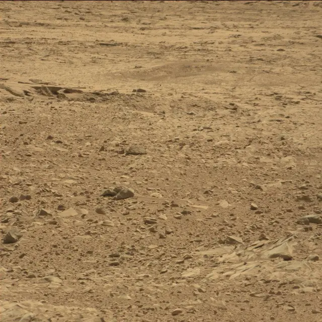Sol 51: Mast Camera (Mastcam)
