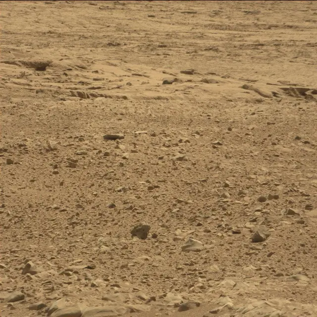Sol 51: Mast Camera (Mastcam)