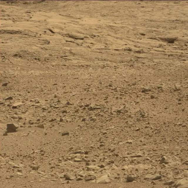 Sol 51: Mast Camera (Mastcam)