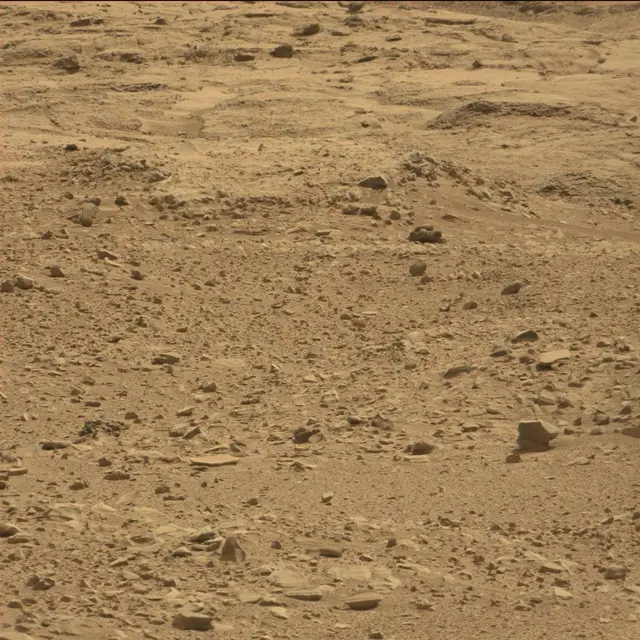 Sol 51: Mast Camera (Mastcam)