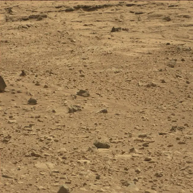 Sol 51: Mast Camera (Mastcam)