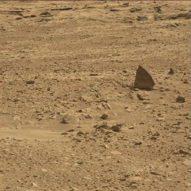 Sol 51: Mast Camera (Mastcam)