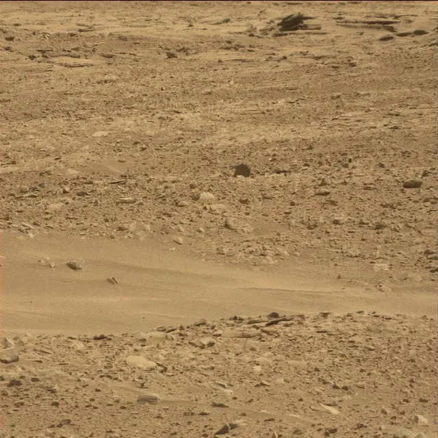 Sol 51: Mast Camera (Mastcam)