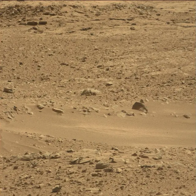 Sol 51: Mast Camera (Mastcam)