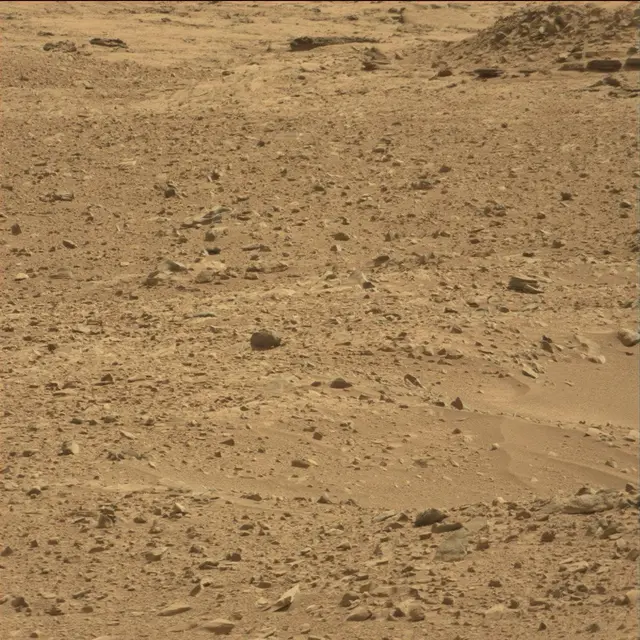 Sol 51: Mast Camera (Mastcam)