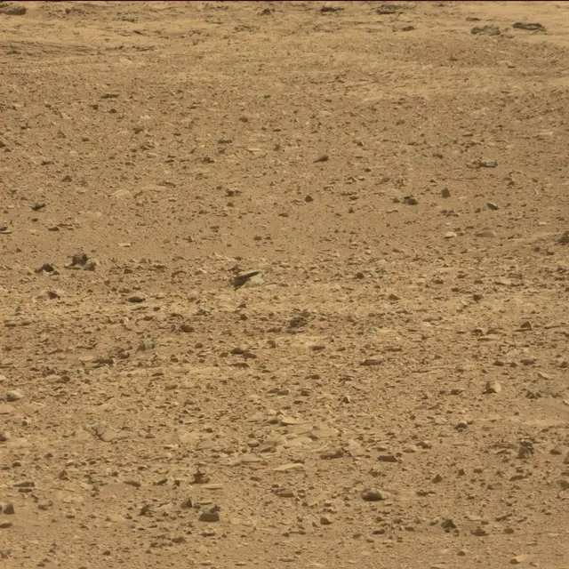 Sol 51: Mast Camera (Mastcam)