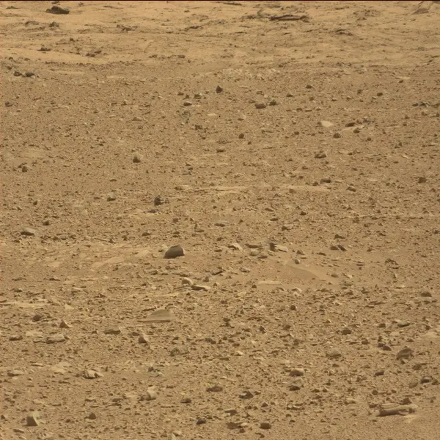 Sol 51: Mast Camera (Mastcam)