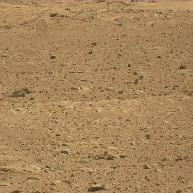 Sol 51: Mast Camera (Mastcam)