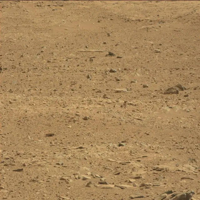 Sol 51: Mast Camera (Mastcam)