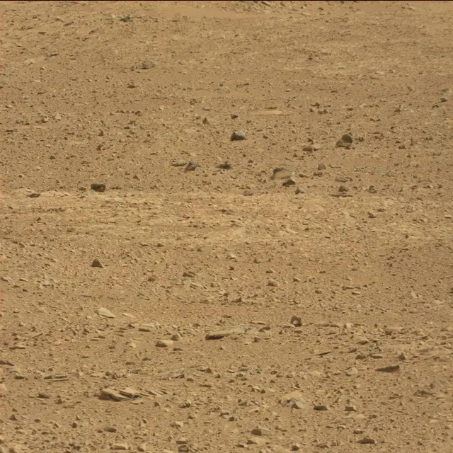 Sol 51: Mast Camera (Mastcam)