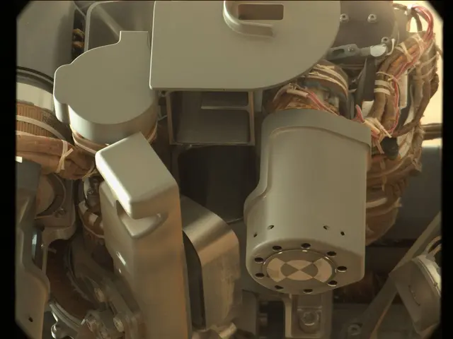 Sol 51: Mast Camera (Mastcam)