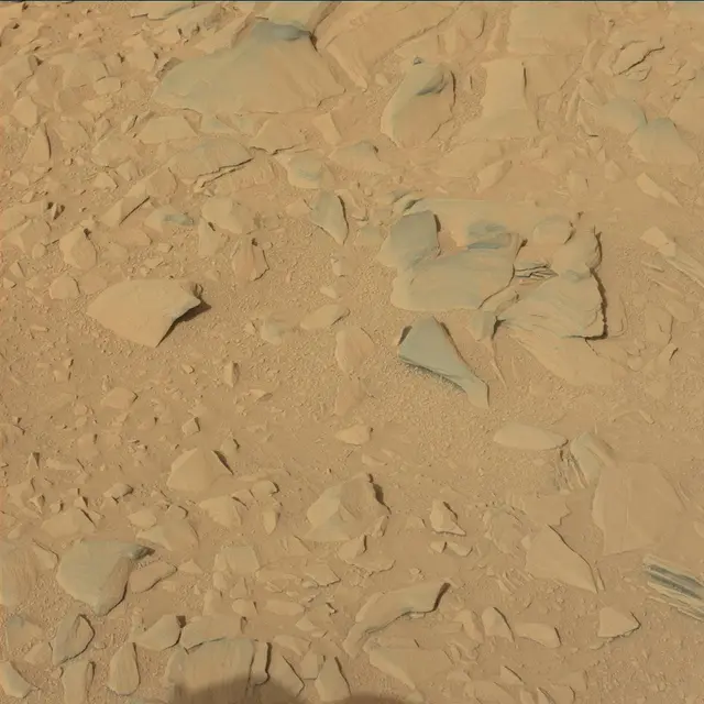 Sol 52: Mast Camera (Mastcam)